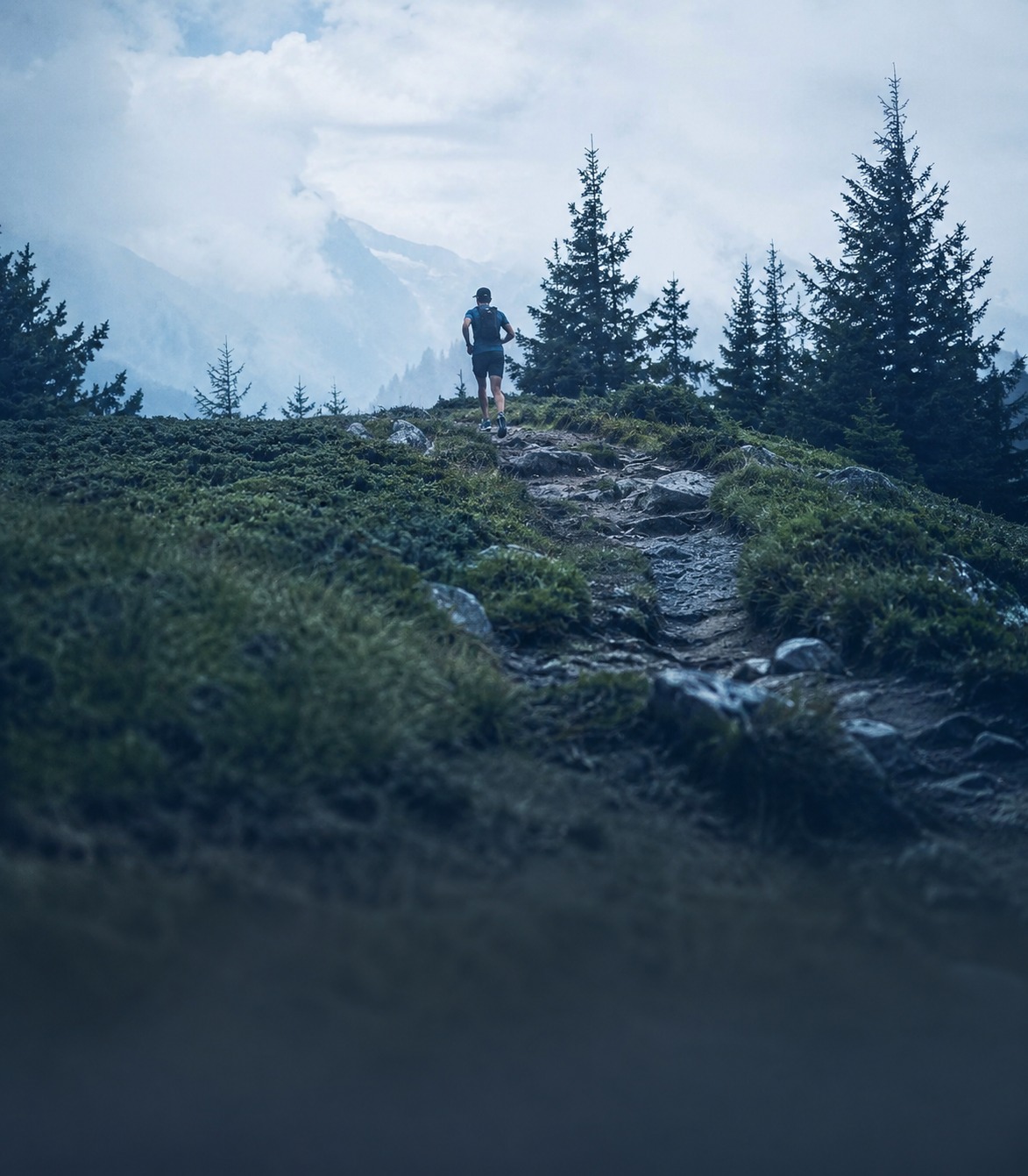 Trail